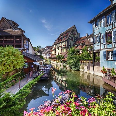 Dependance De Charme - Tiny House Lejlighed Colmar Eksteriør billede