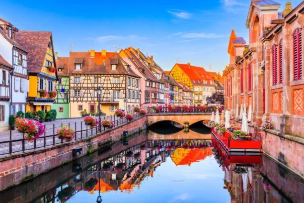 Dependance De Charme - Tiny House Lejlighed Colmar Eksteriør billede